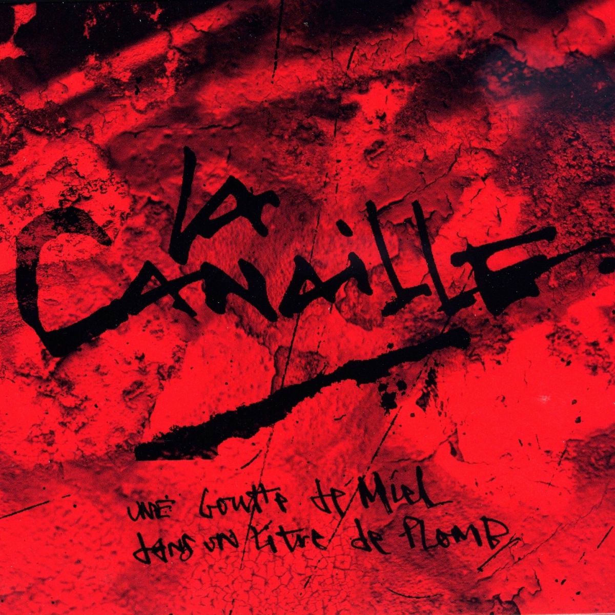 Album cover of Ni dieu ni maitre