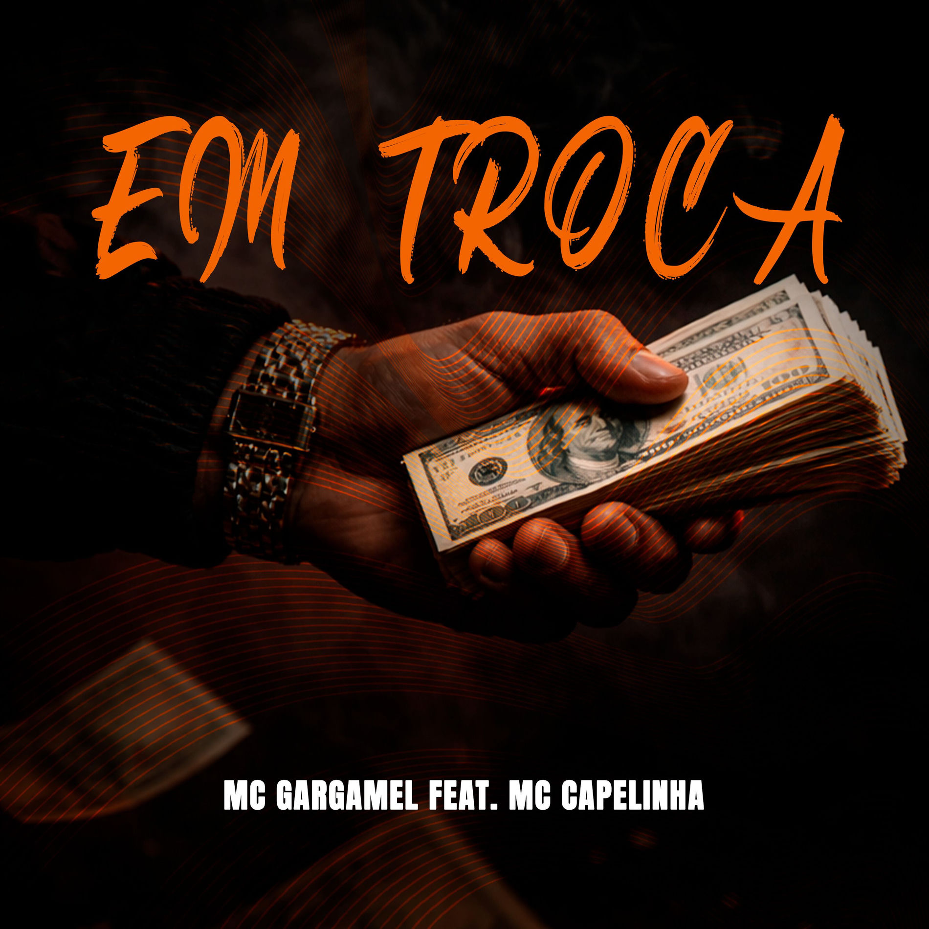 Album cover of Em Troca