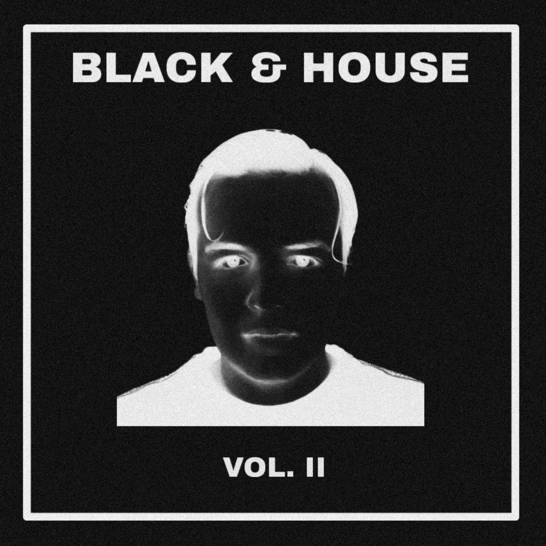 Album cover of BLACK & HOUSE, Vol. 2