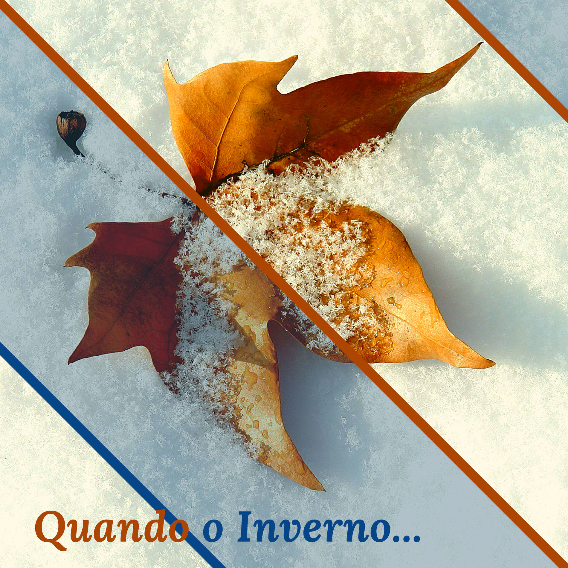 Album cover of Quando o Inverno - Piano Relaxante para Ler na Época de Frio Máximo