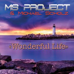 Cover of Wonderful Life
