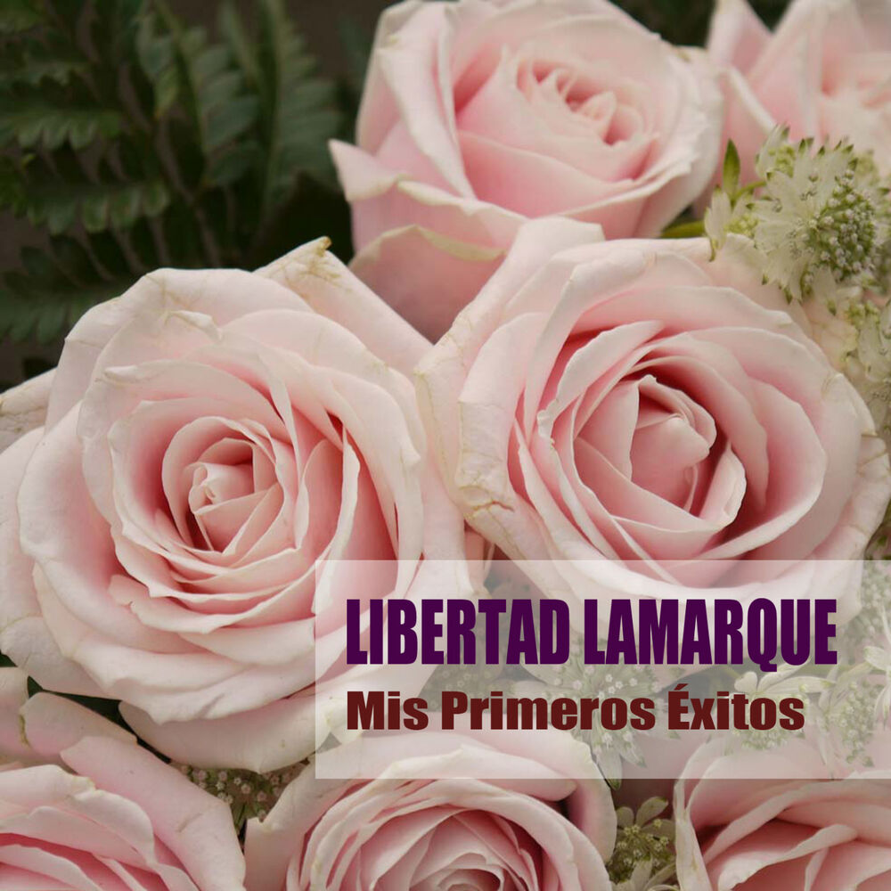Picture of Mis Primeros Éxitos