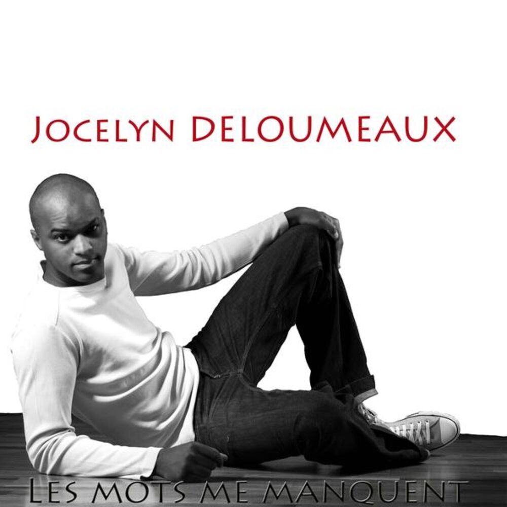 Picture of Les mots me manquent