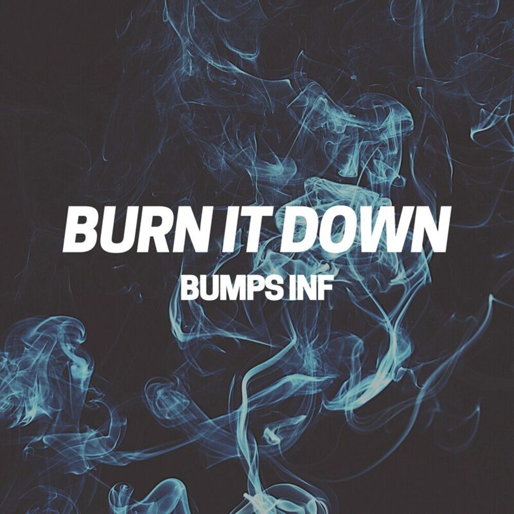 Picture of Burn it Down