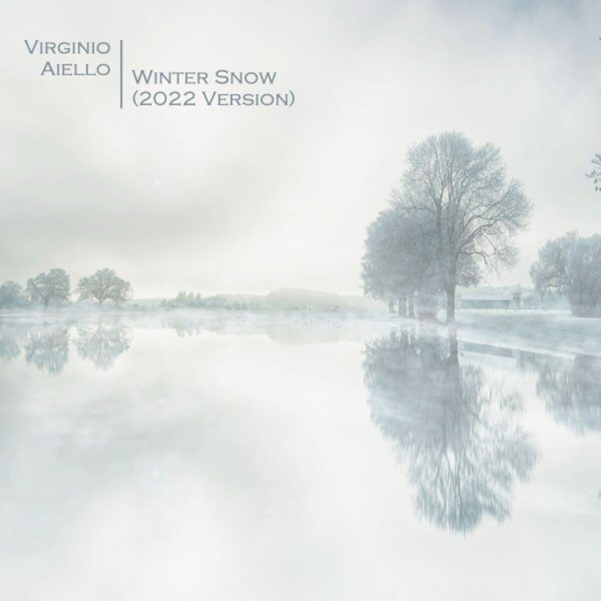 Album cover of Winter Snow (2022 Version)