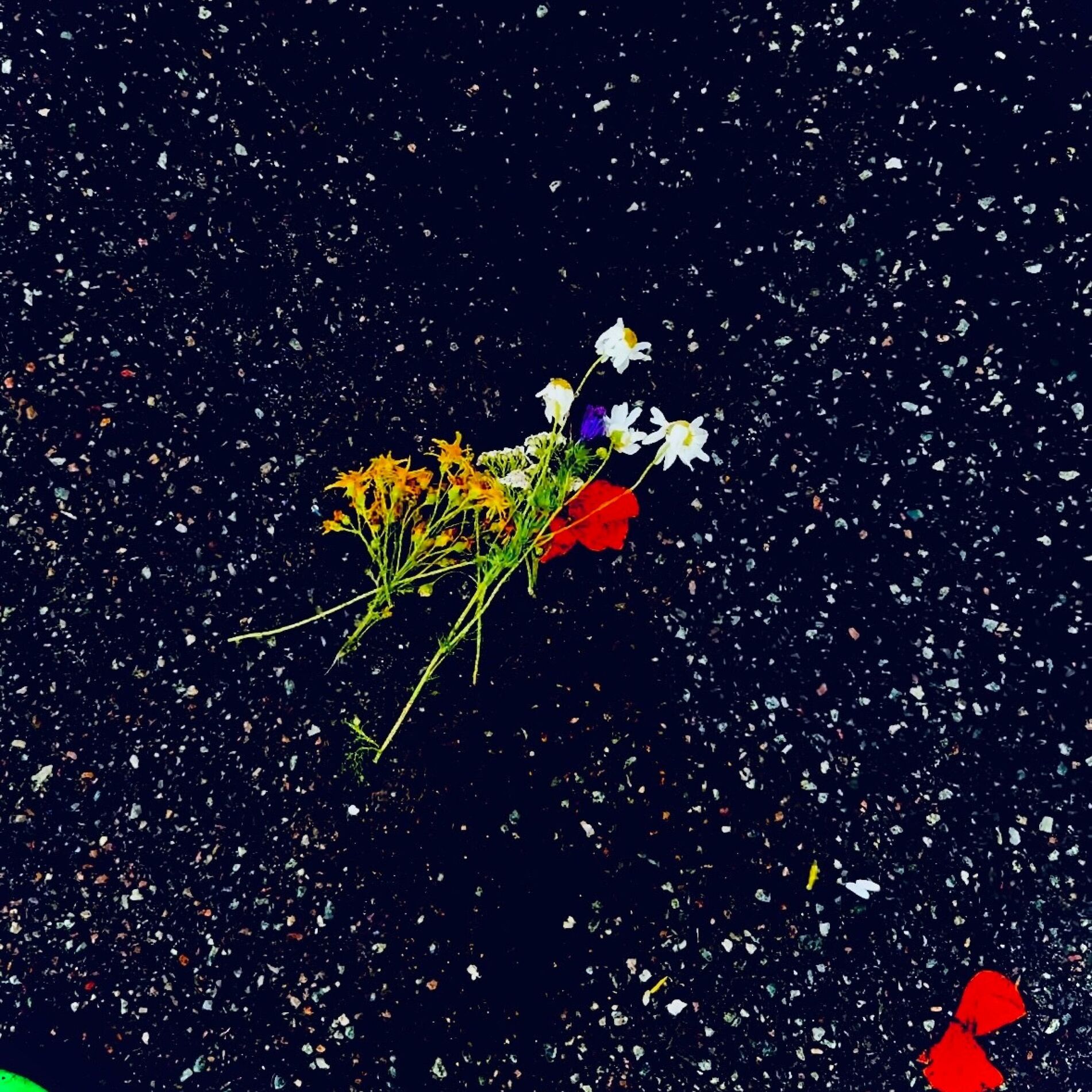 Album cover of Blomsterbarn