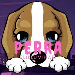music cover
