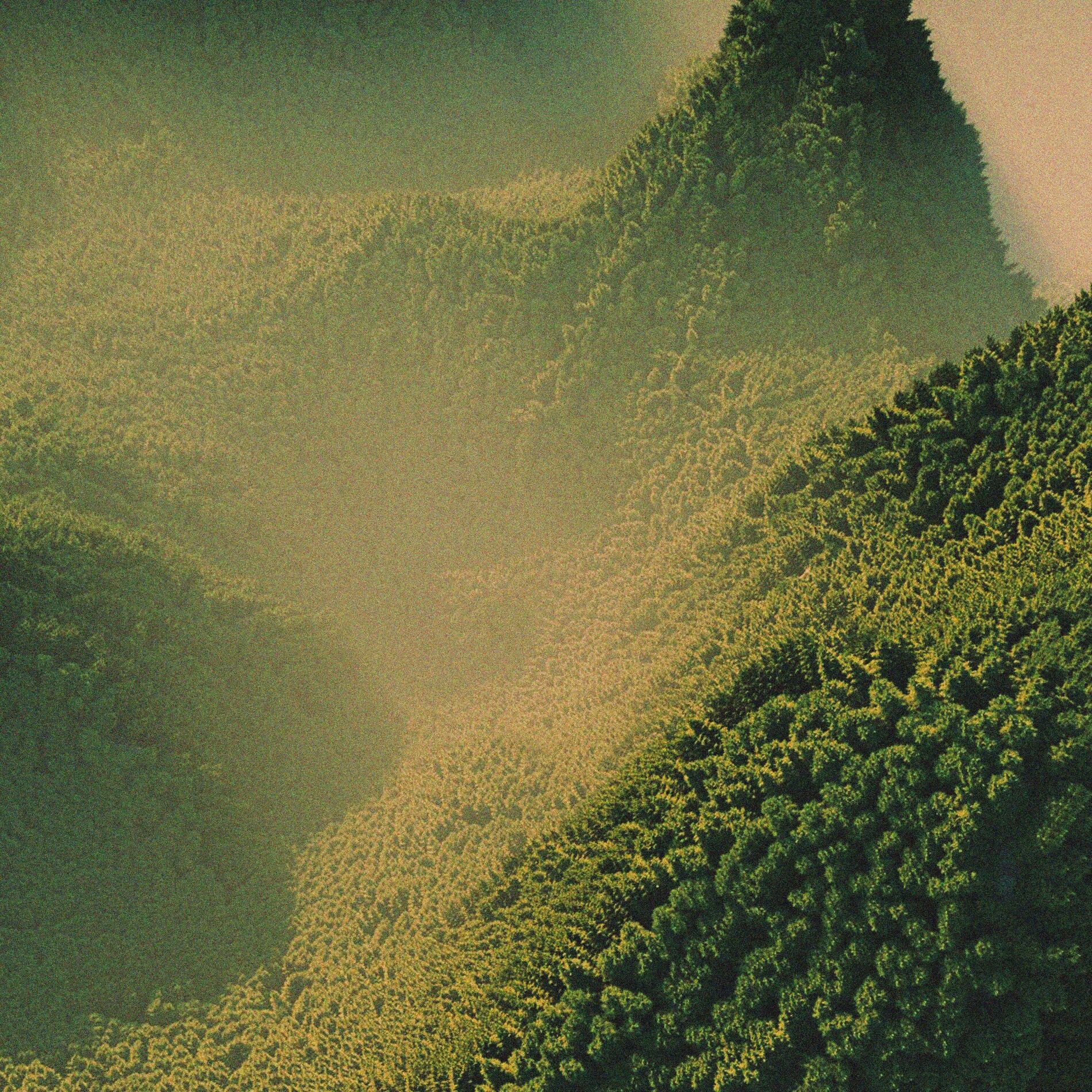 Album cover of eden