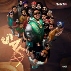 Cover of SAFA
