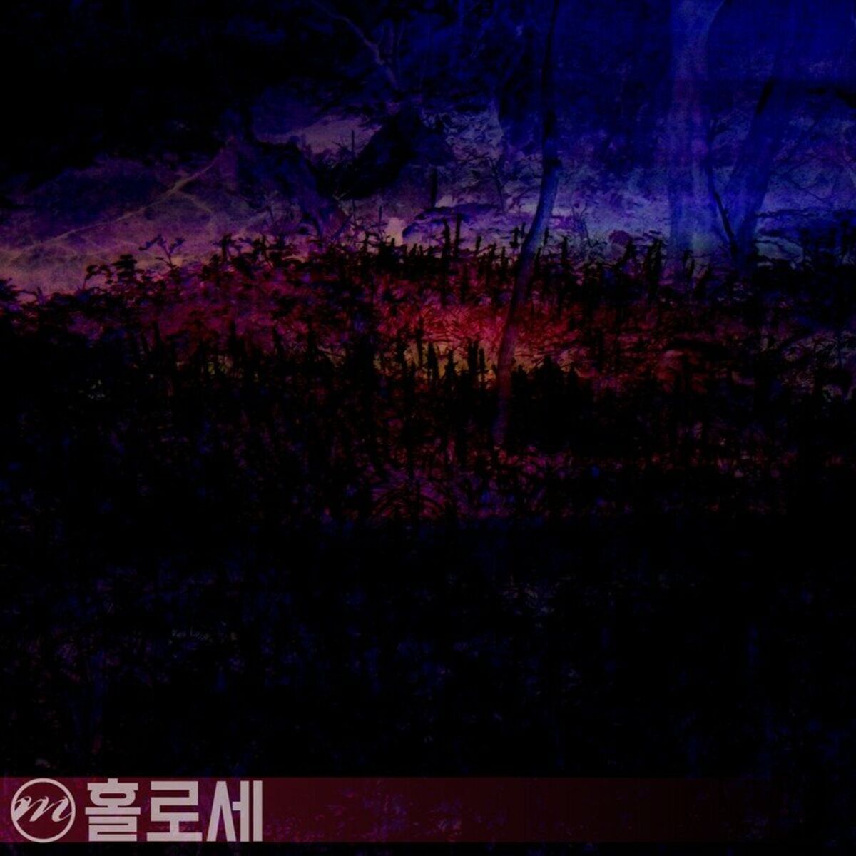 Album cover of The Way We Became