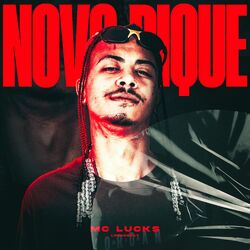 Cover of Novo Pique