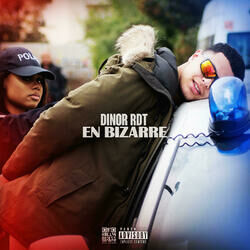 Cover of En bizarre