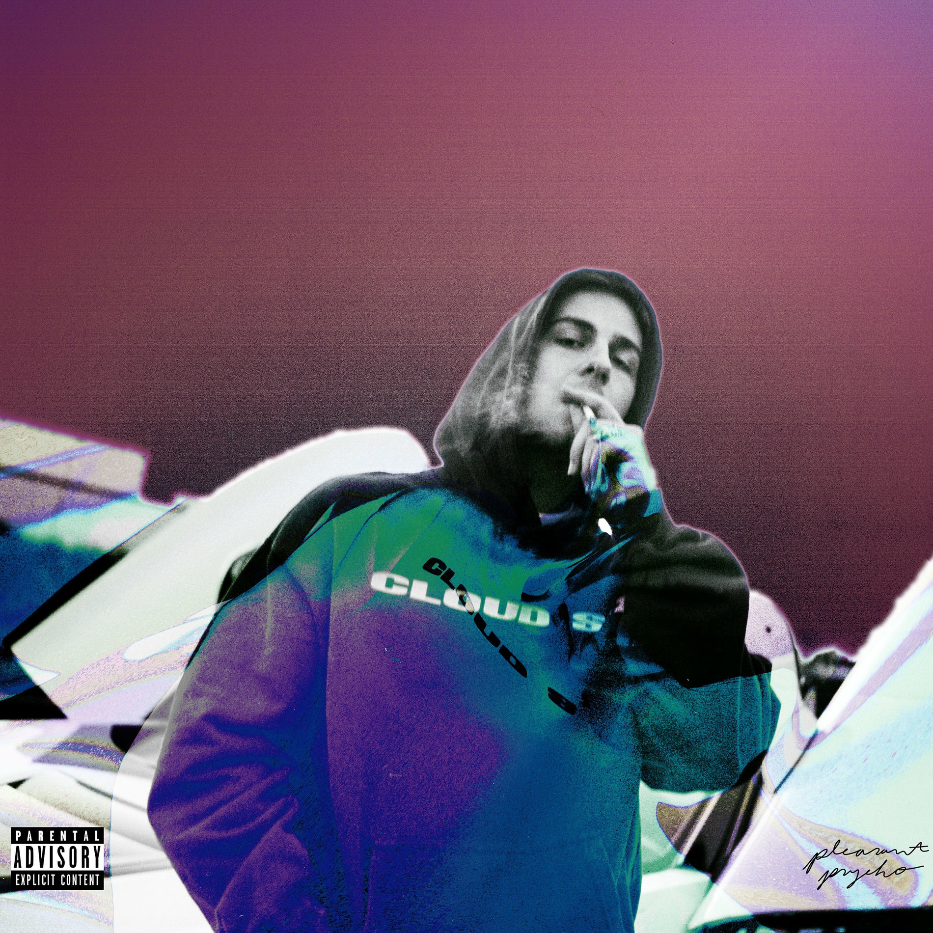 Album cover of PLEASANT PSYCHO