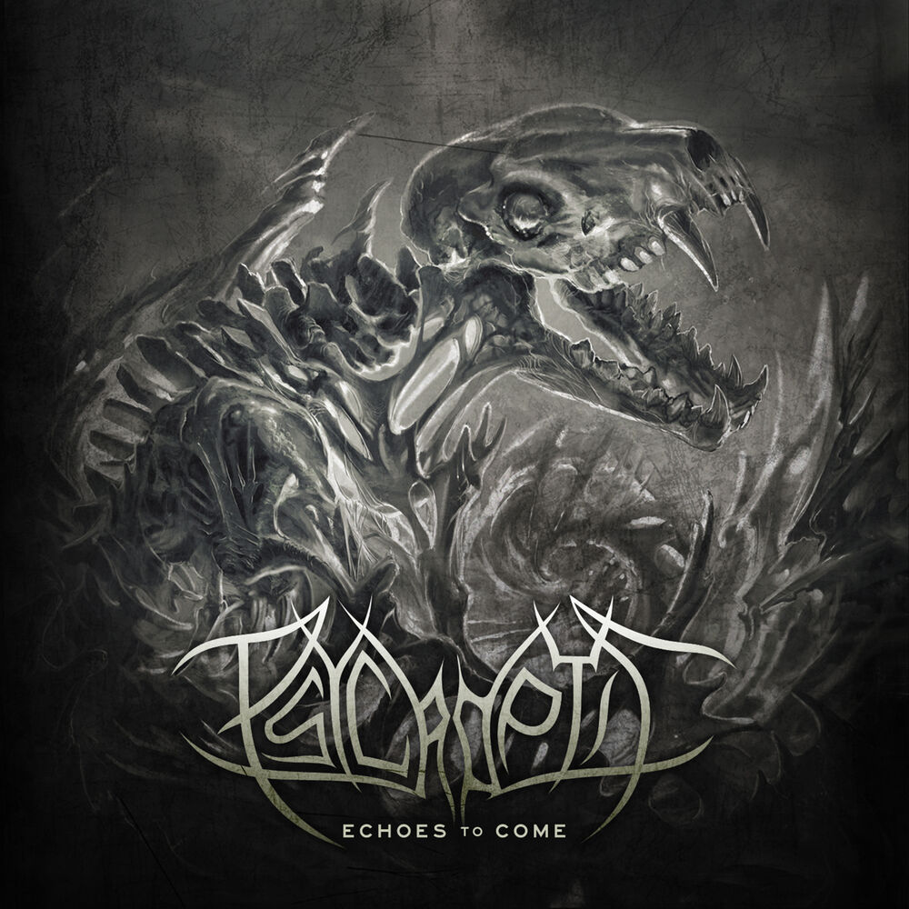 Picture of Echoes to Come
