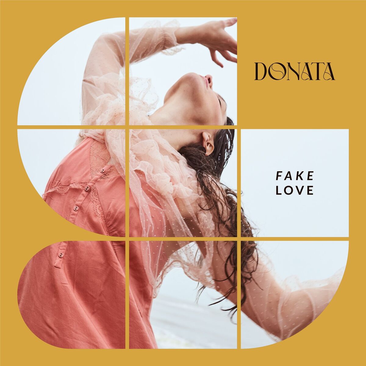 Album cover of Fake Love