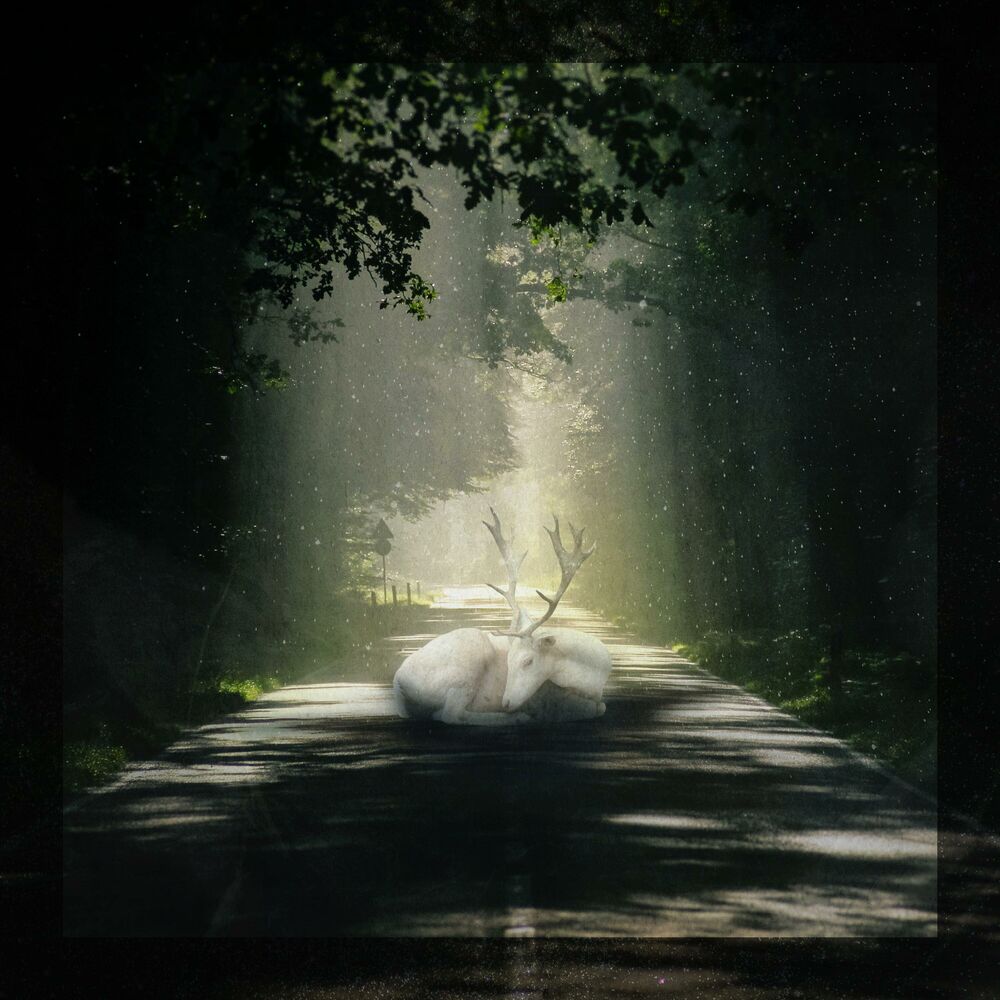 Picture of Before You Go (feat. Lovely Nothing)