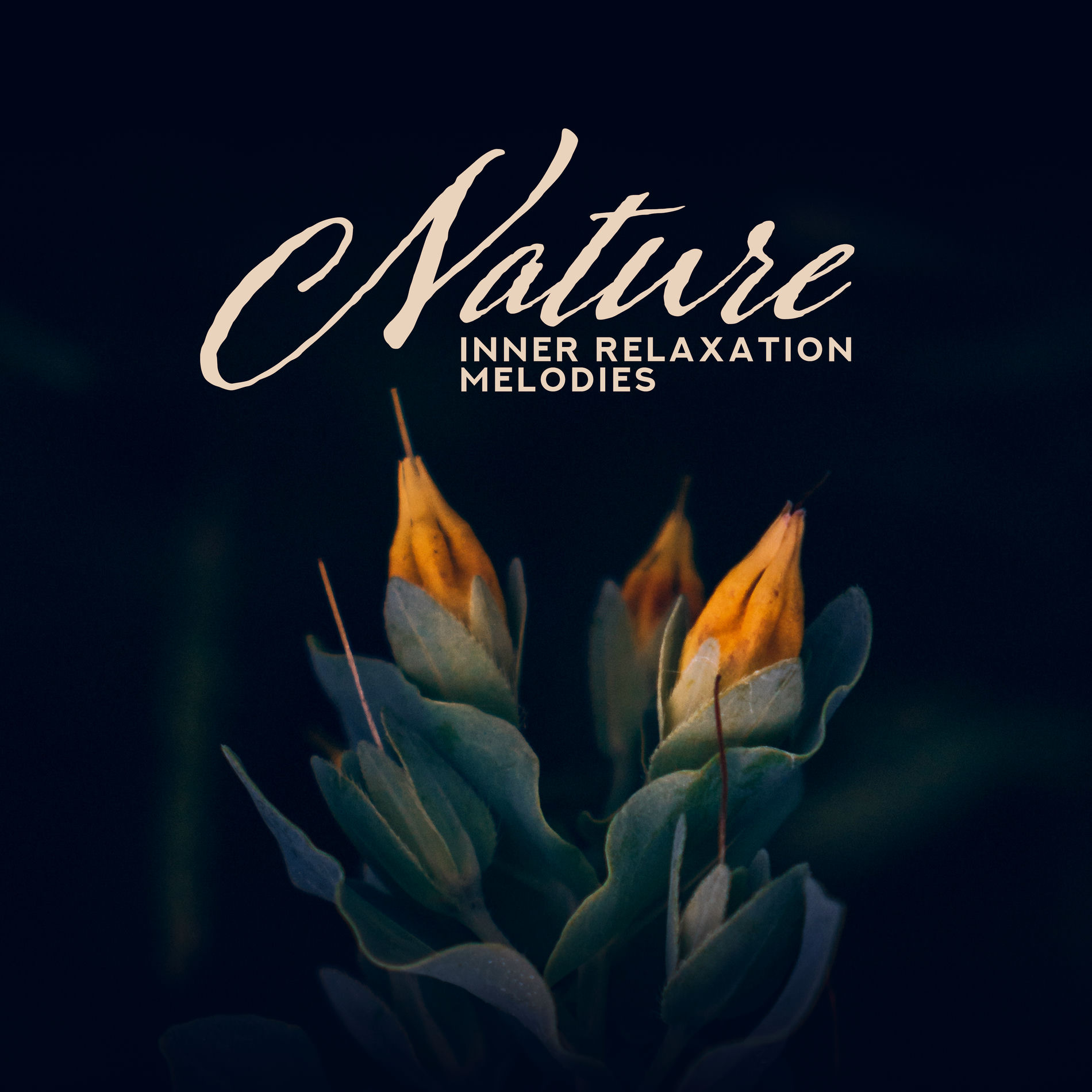 Album cover of Nature Inner Relaxation Melodies: Compilation of 2019 New Age Piano Music with Nature Sounds of Forest, Water, Birds & Others