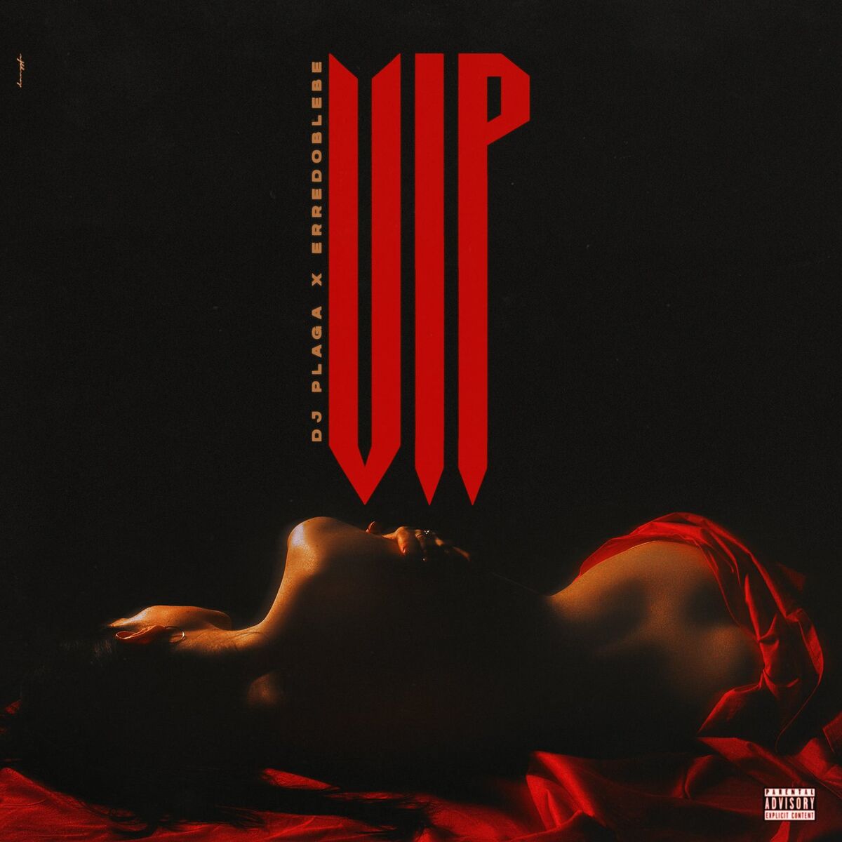 Album cover of V.I.P