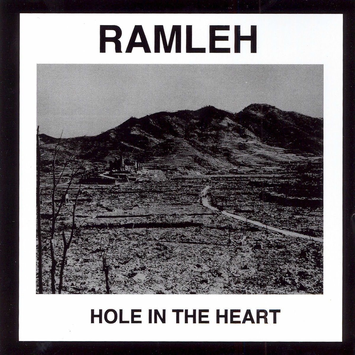 Album cover of Hole in the Heart