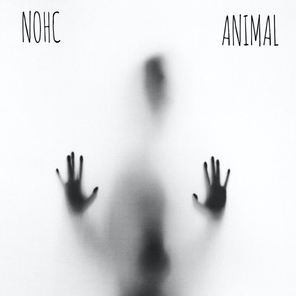 Picture of Animal