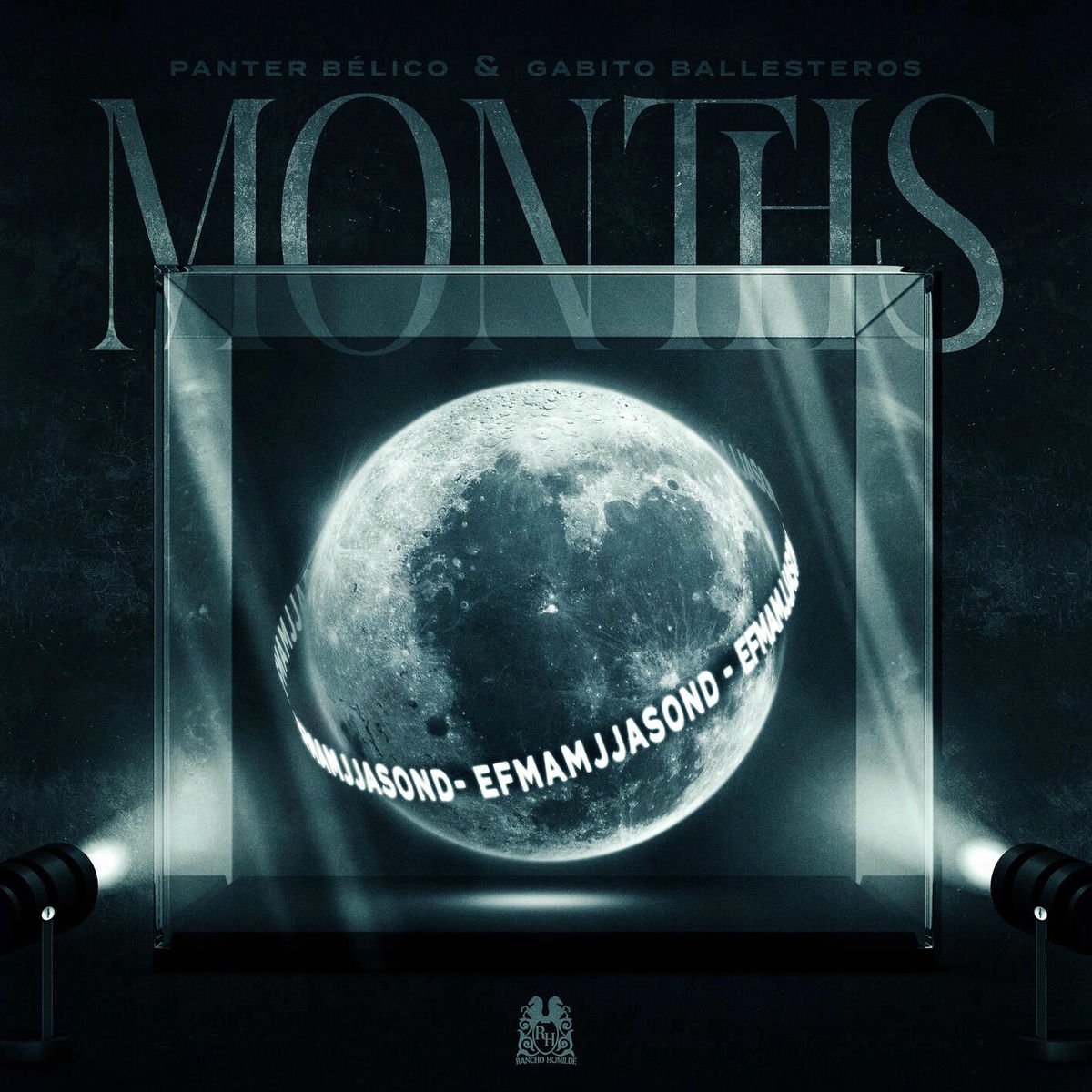 Album cover of MONTHS
