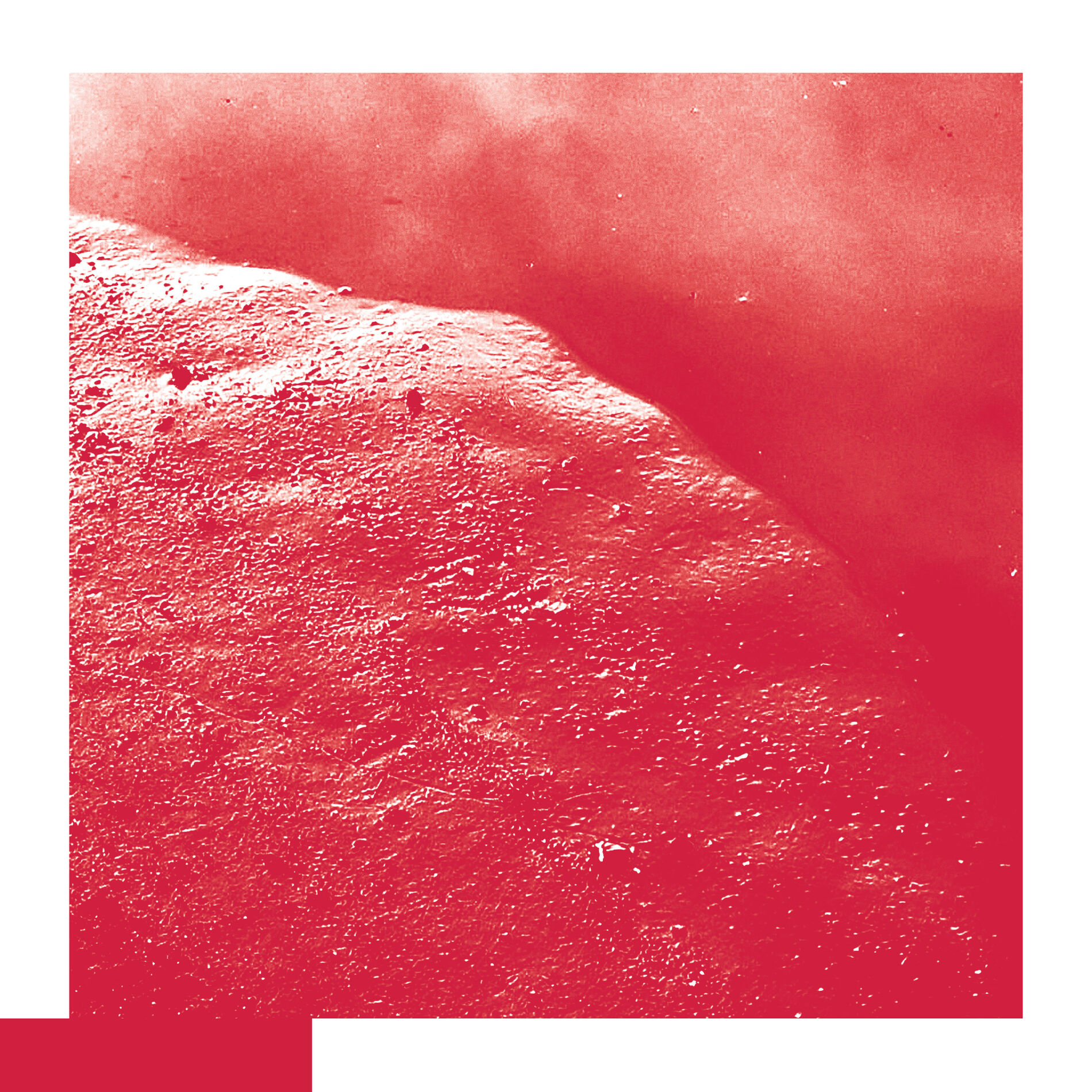 Album cover of The Cell