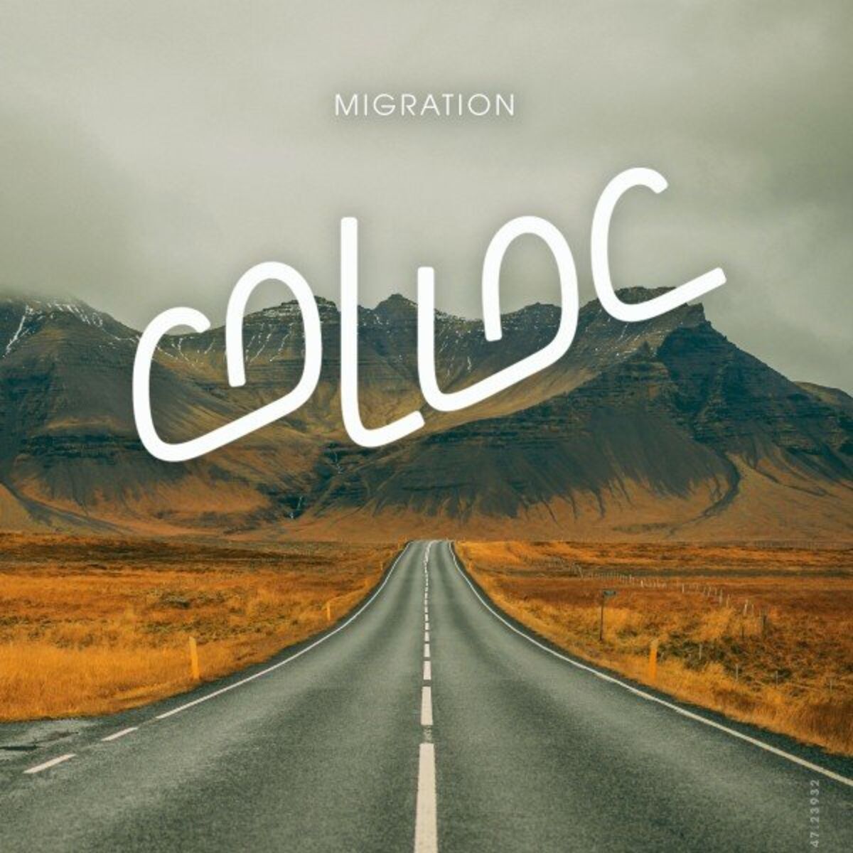 Album cover of Migration