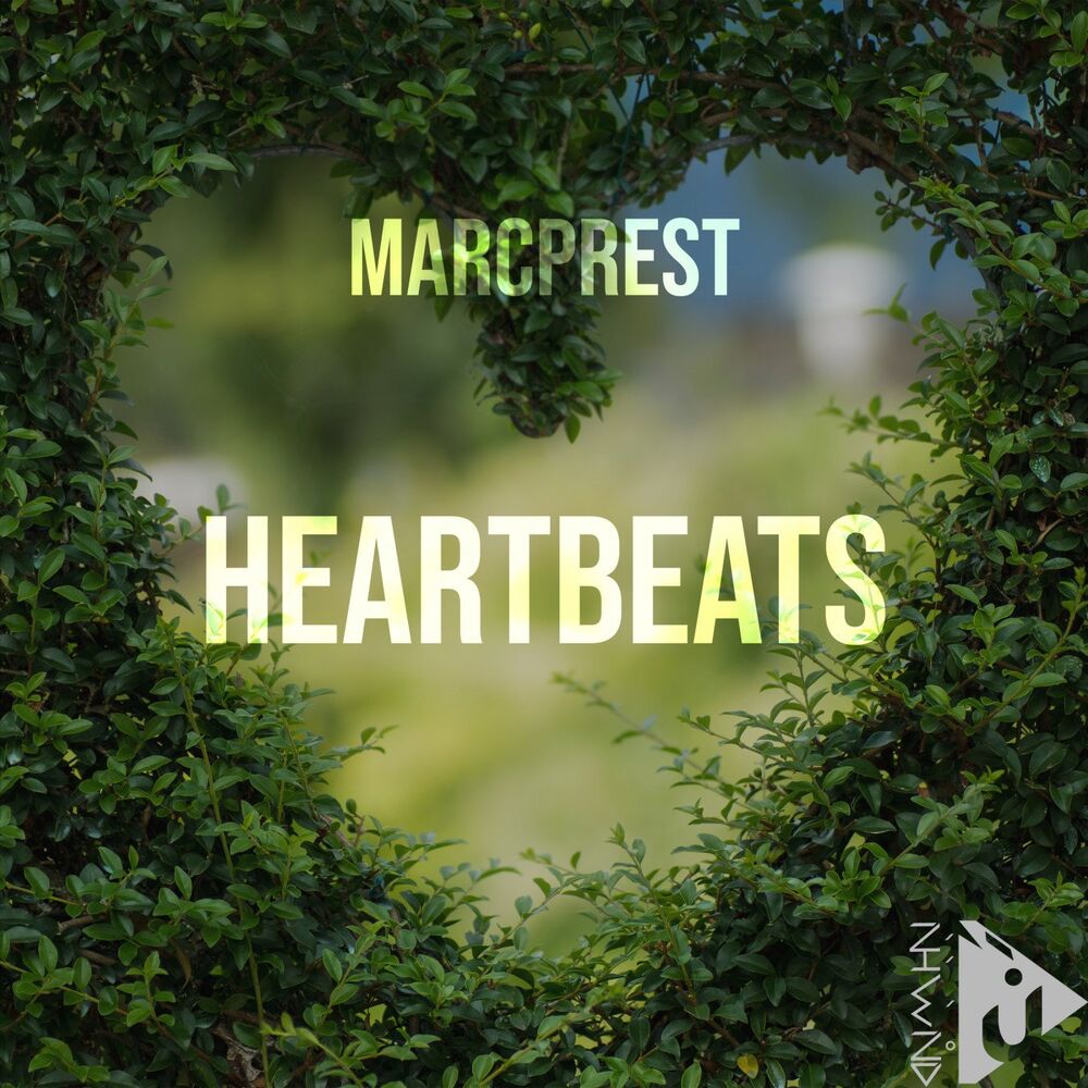 Picture of Heartbeats