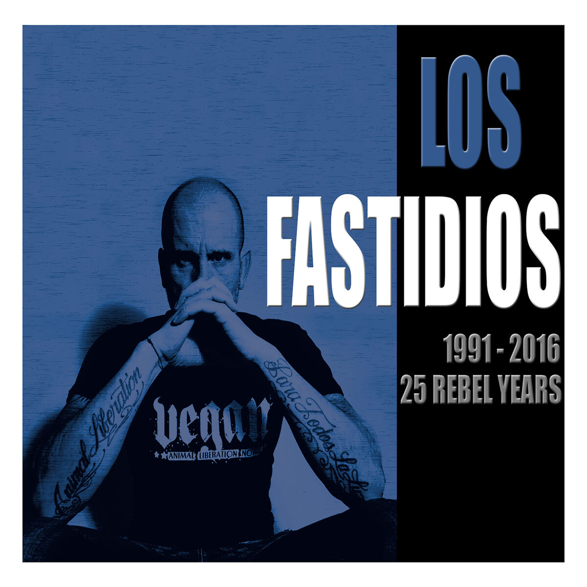 Album cover of 1991 - 2016 25 Rebel Years