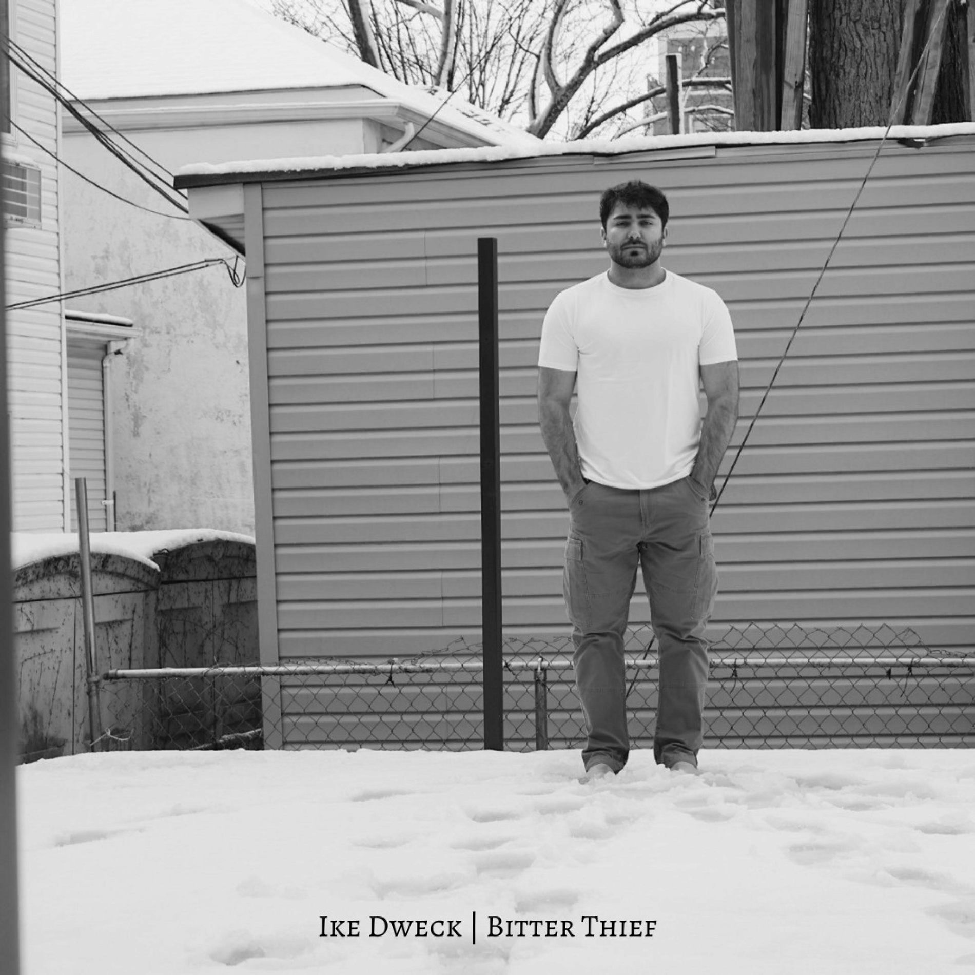 Album cover of Bitter Thief