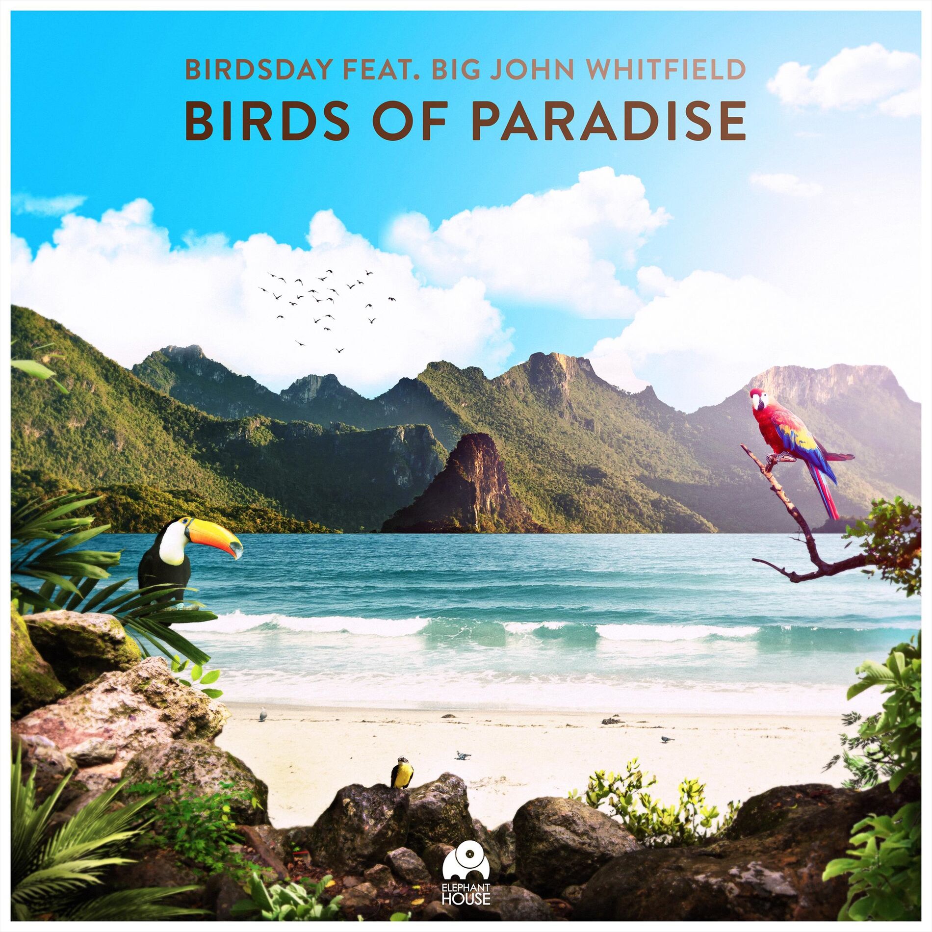 Album cover of Birds of Paradise (feat. Big John Whitfield)