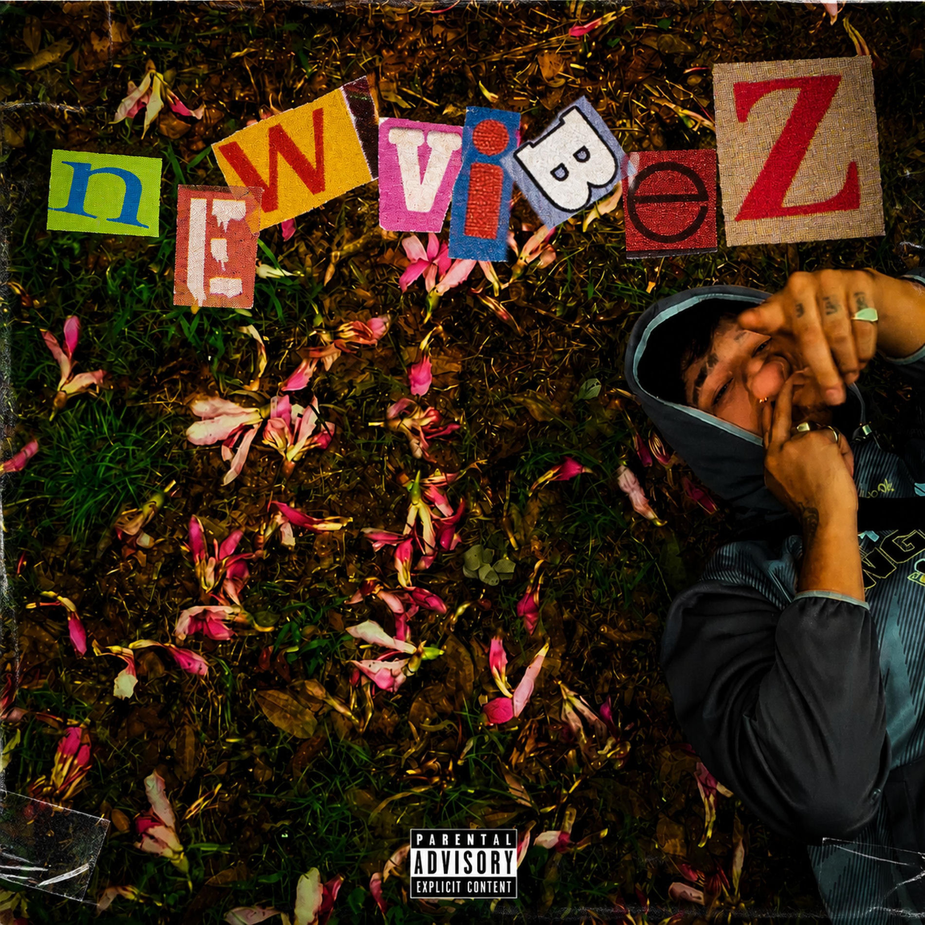 Album cover of neW vibeZ