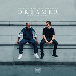 Cover of Dreamer (Remixes Vol. 1)
