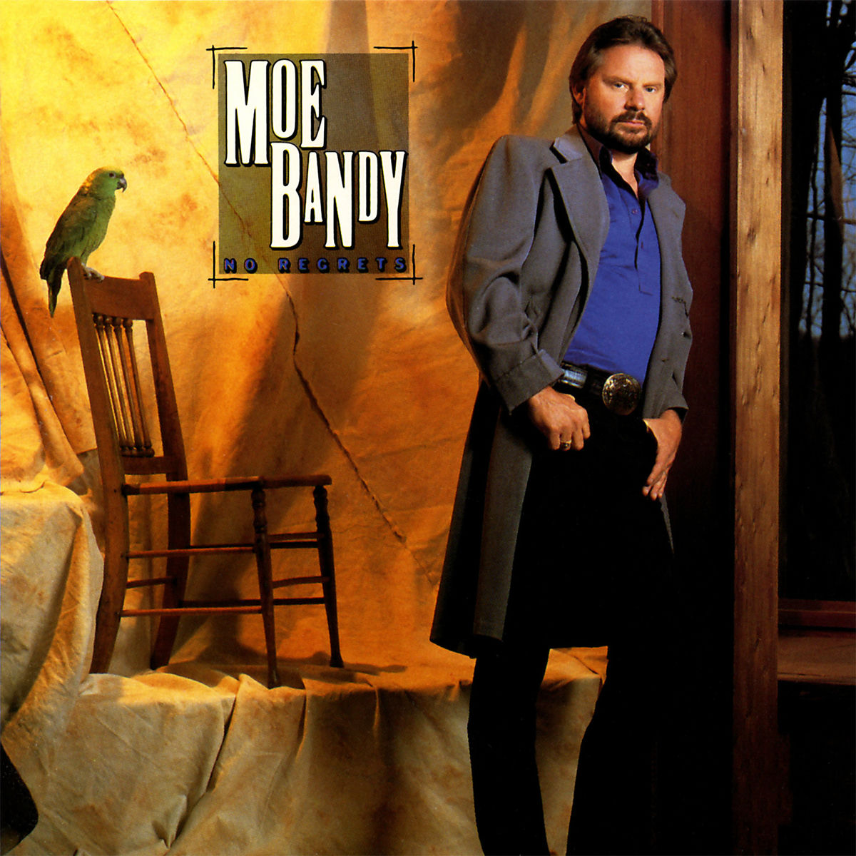 Album cover of Americana