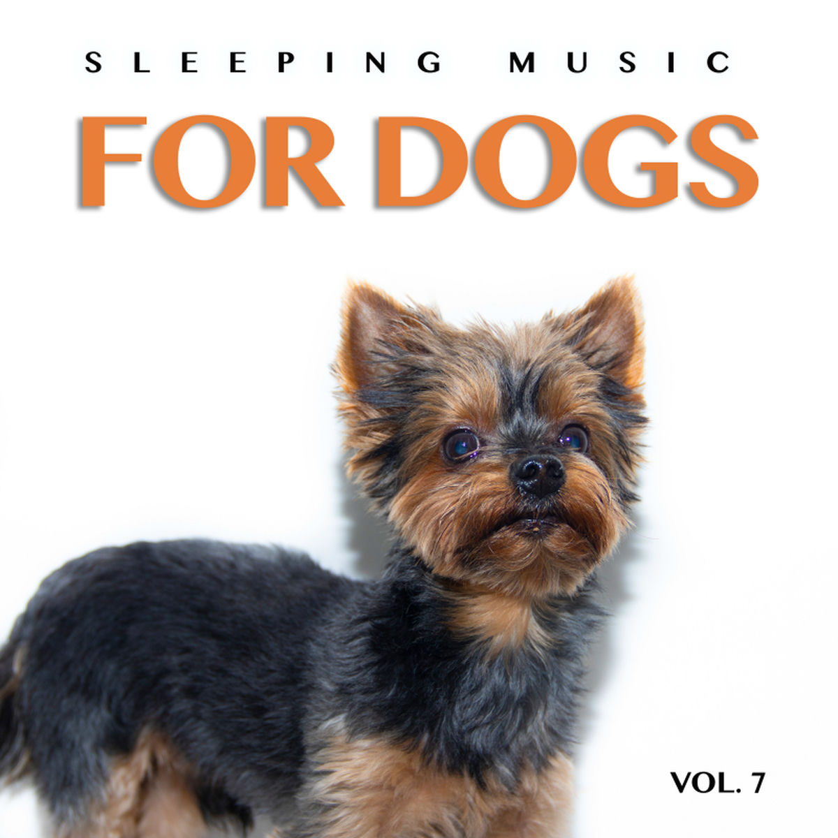 Album cover of Background Music For Dogs