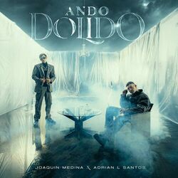 Cover of Ando Dolido