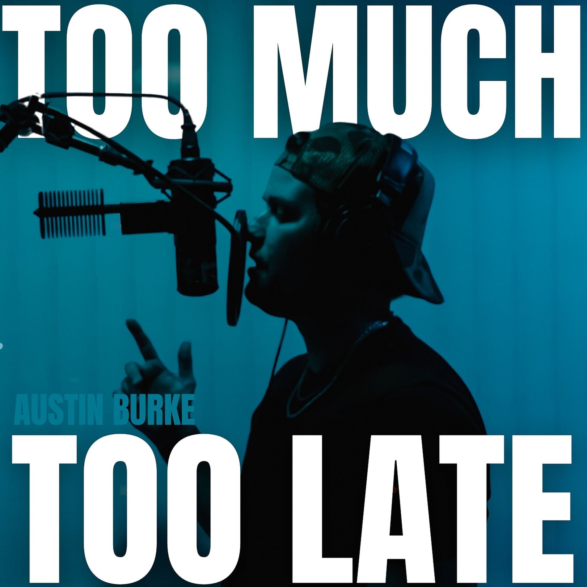 Album cover of Too Much Too Late