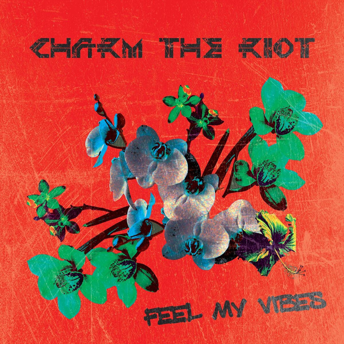 Album cover of Feel My Vibes