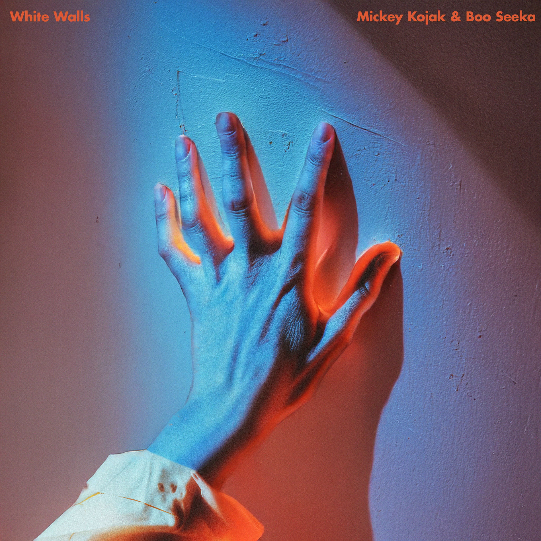 Album cover of White Walls