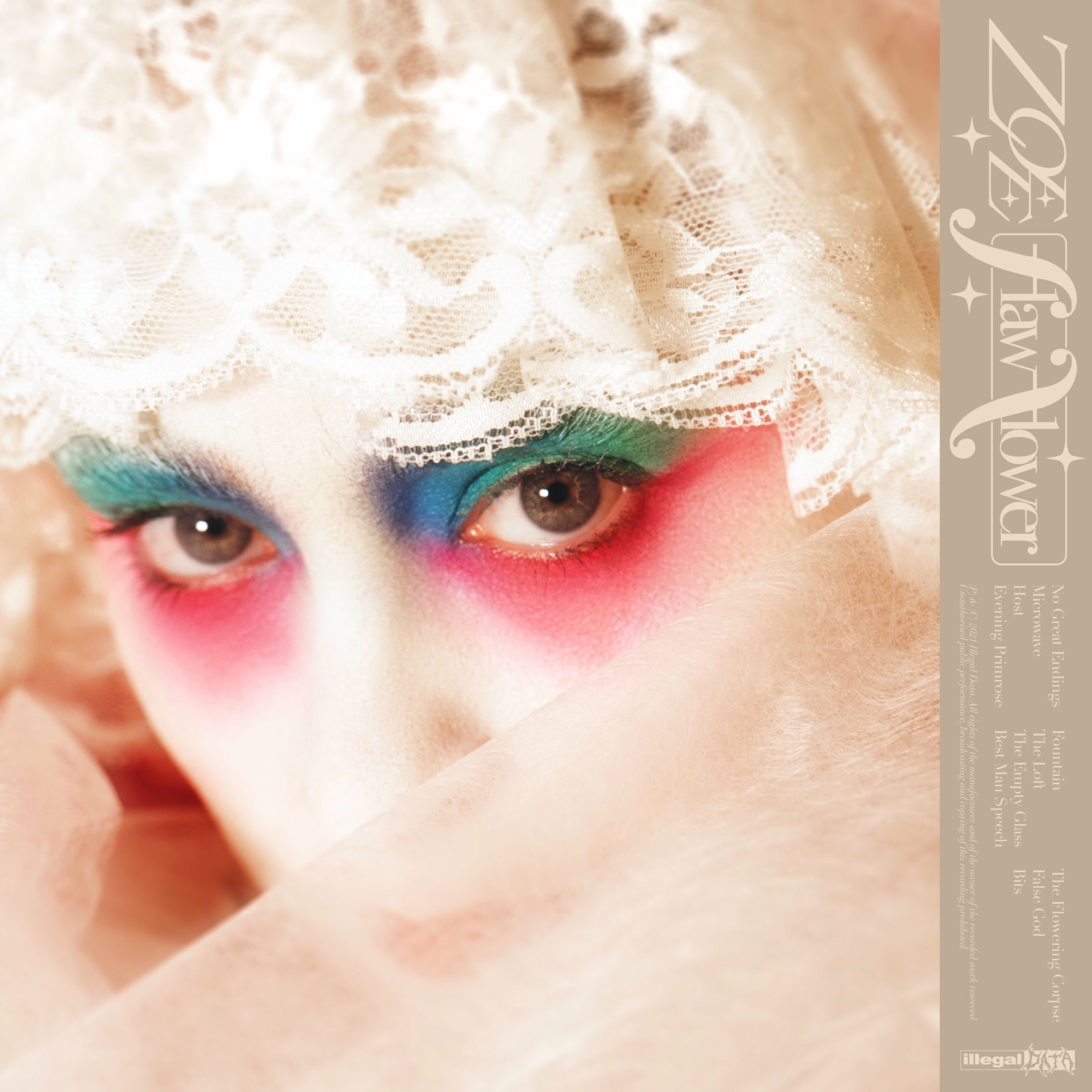 Album cover of Flaw Flower