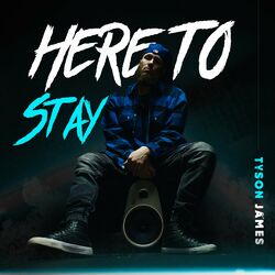 Cover of Here To Stay