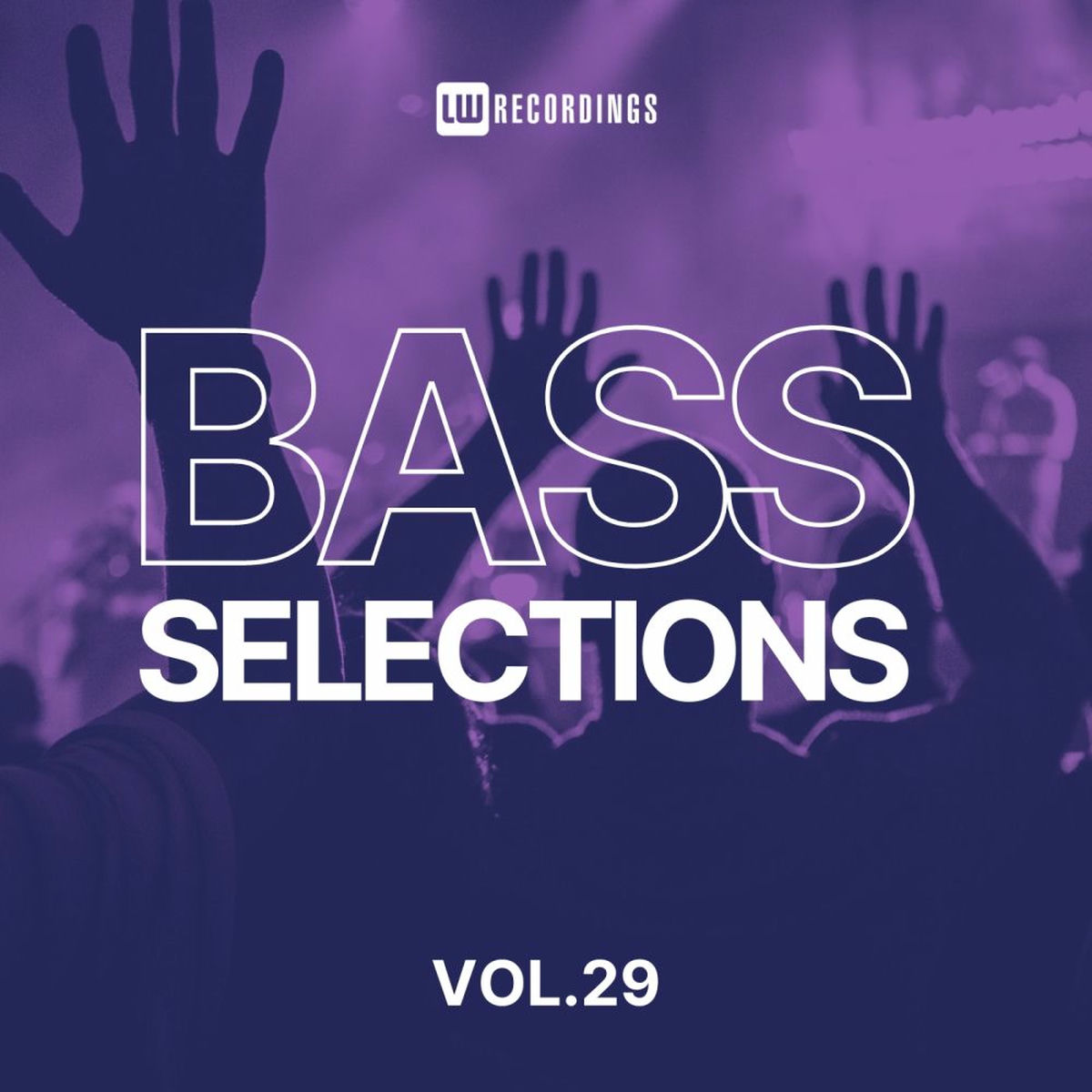 Album cover of Bass Selections, Vol. 29
