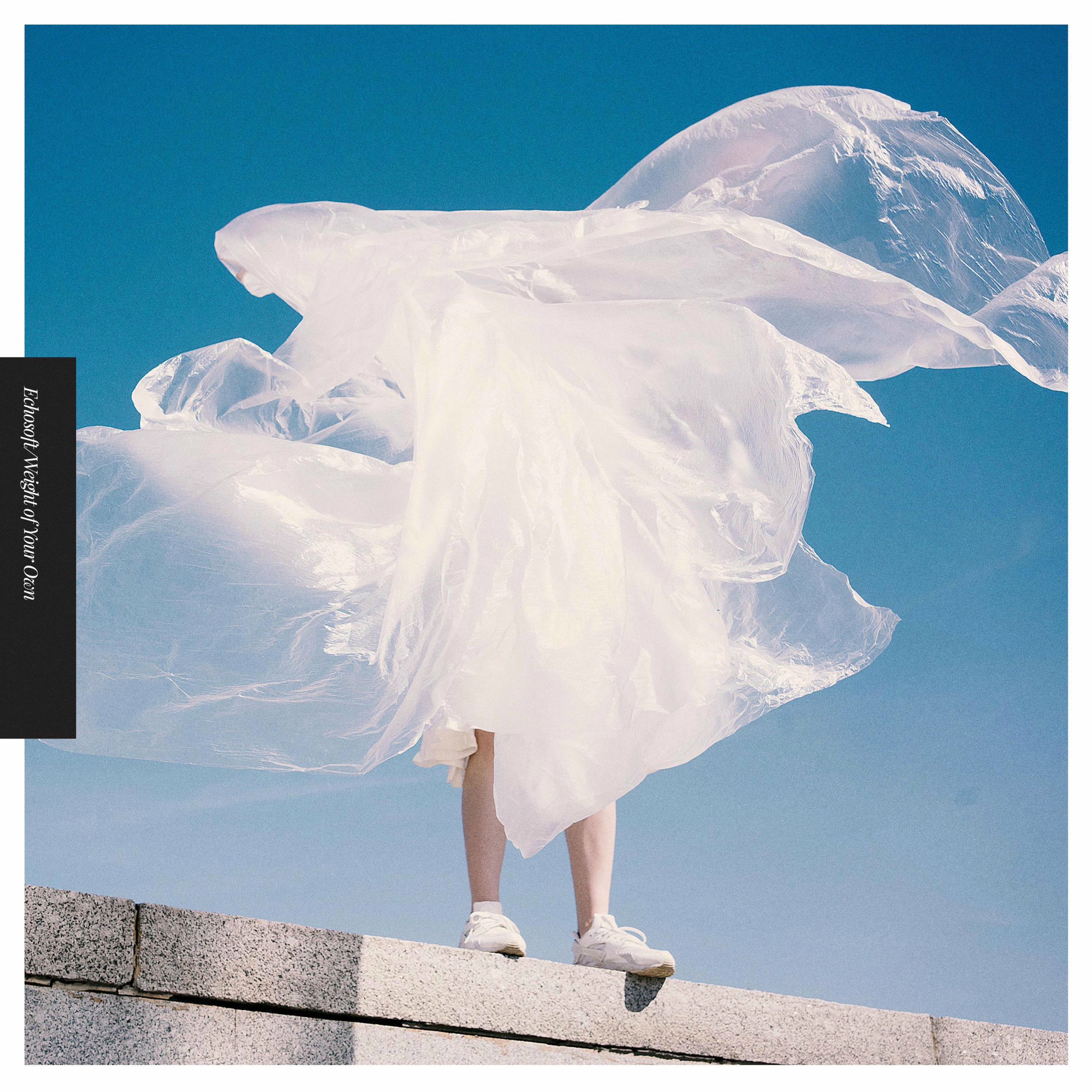 Album cover of Weight of Your Own