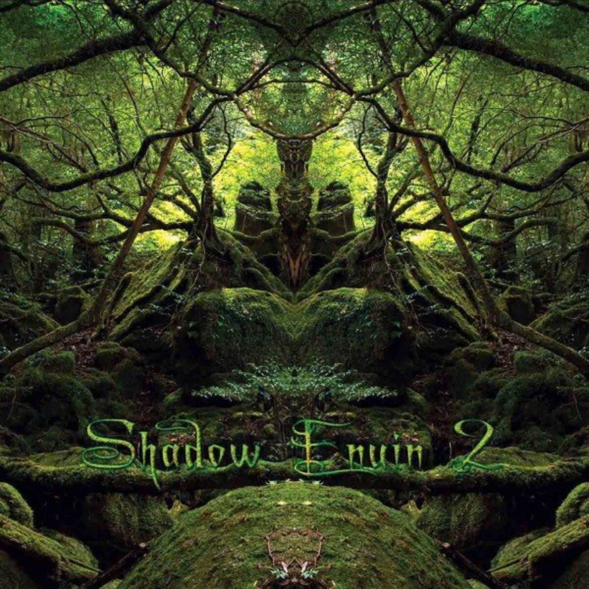 Album cover of Shadow Enuin, Vol. 2