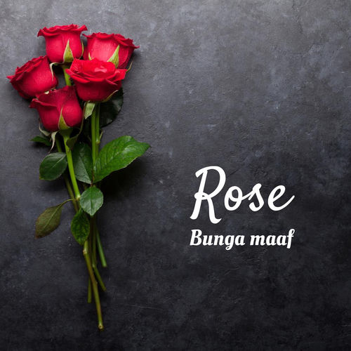 Bunga maaf