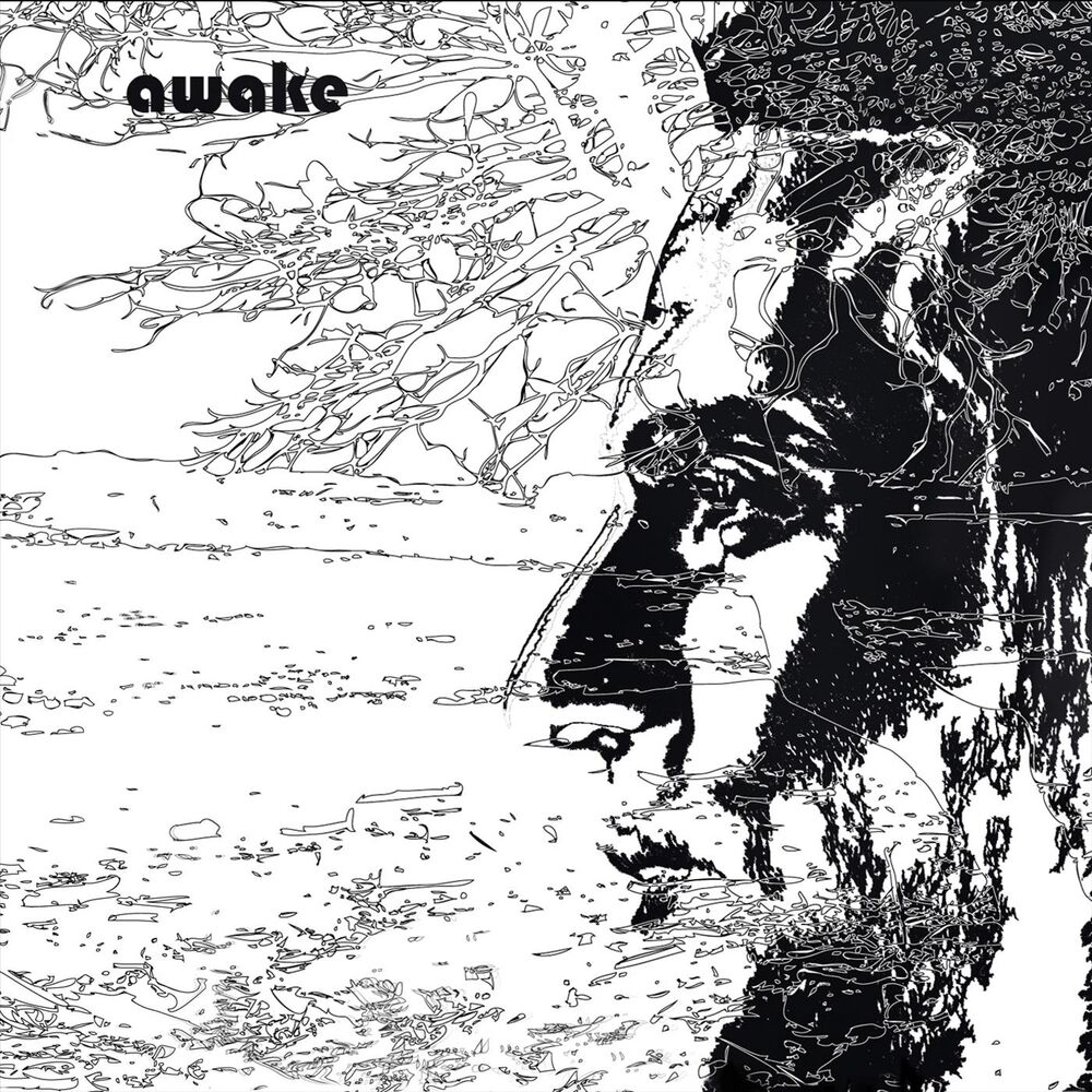 Picture of Awake