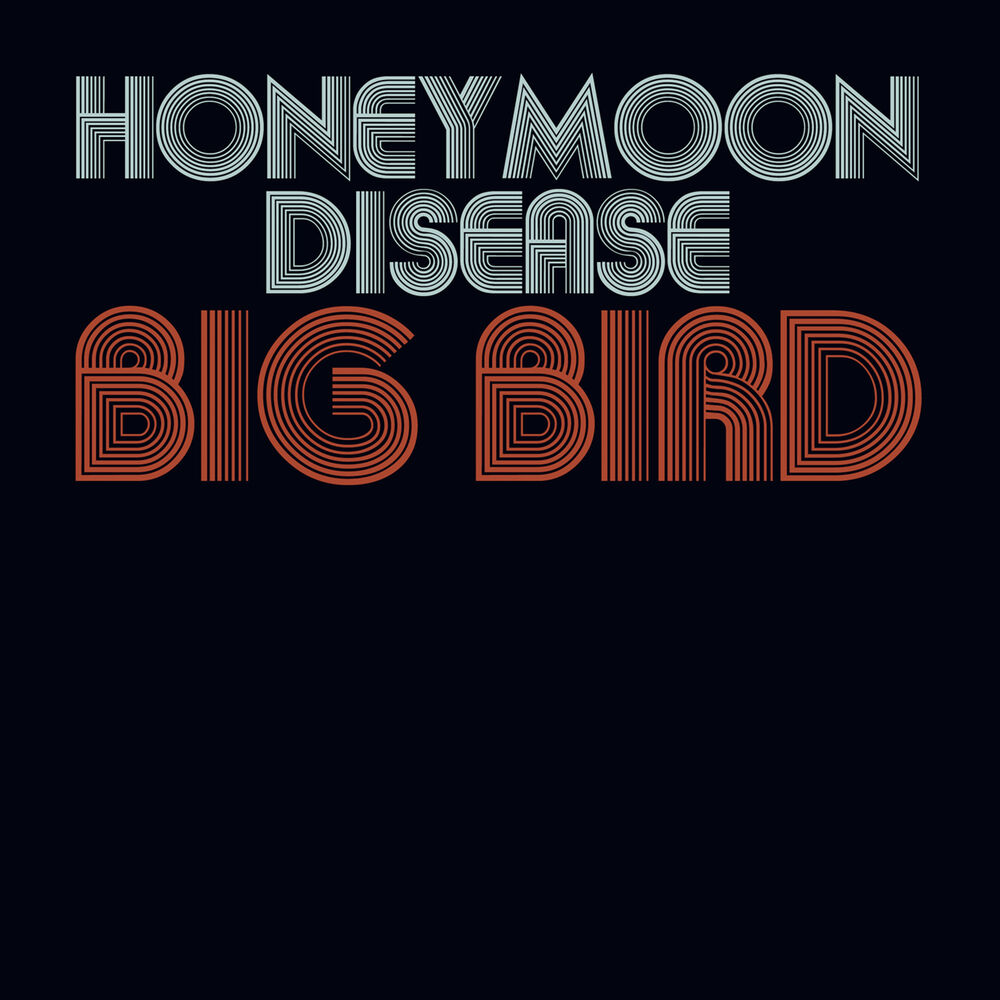 Picture of Big Bird