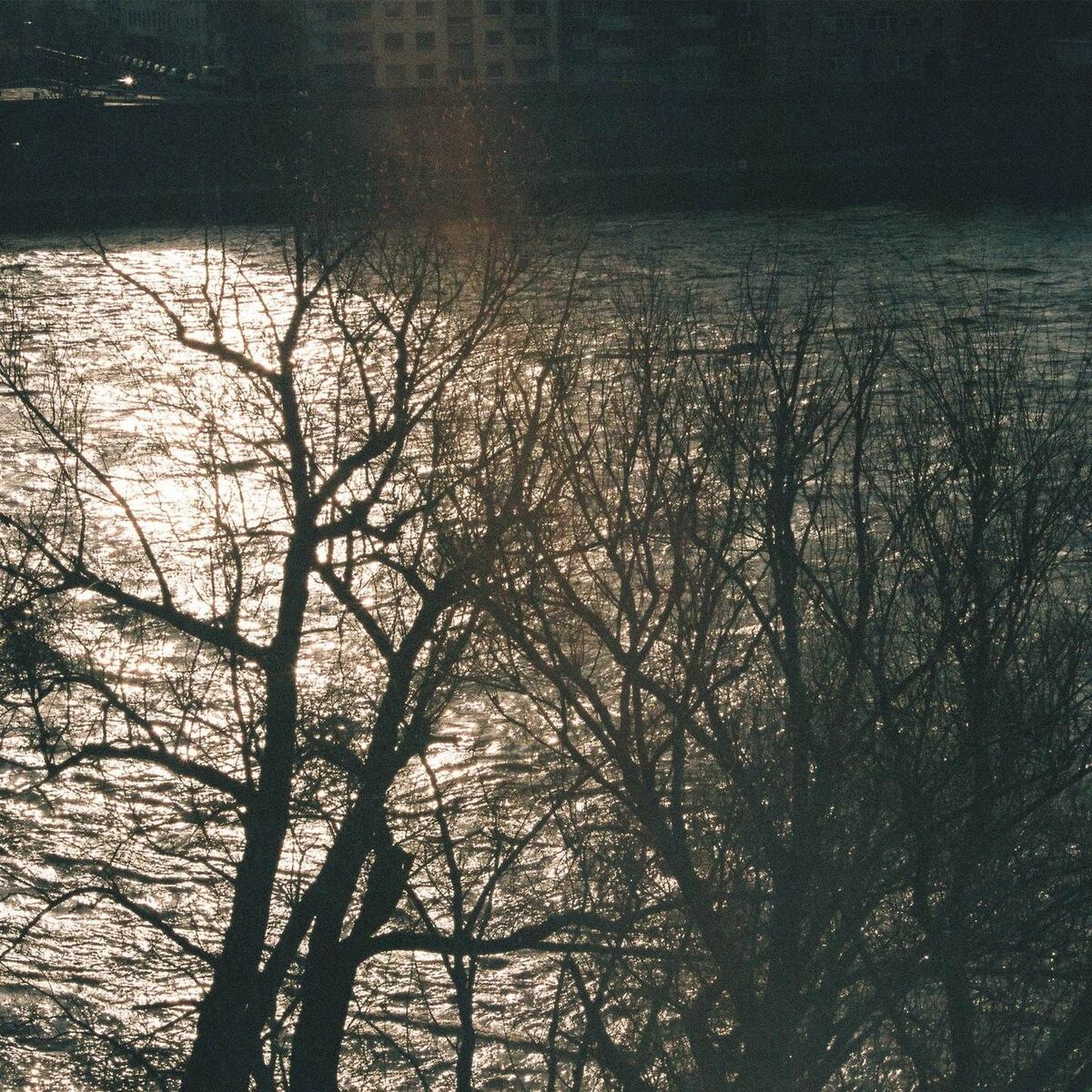 Album cover of Heartseed
