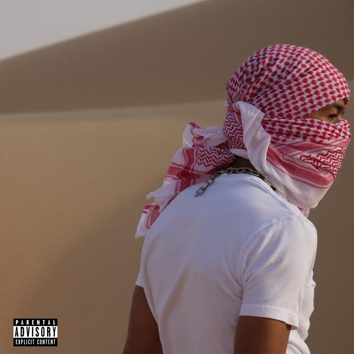 Album cover of Ice