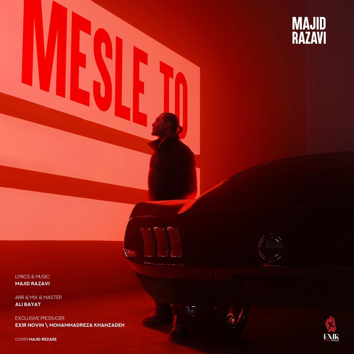 Album cover of Mesle To